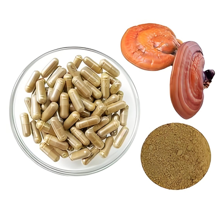 Scientific Understanding of Health Food