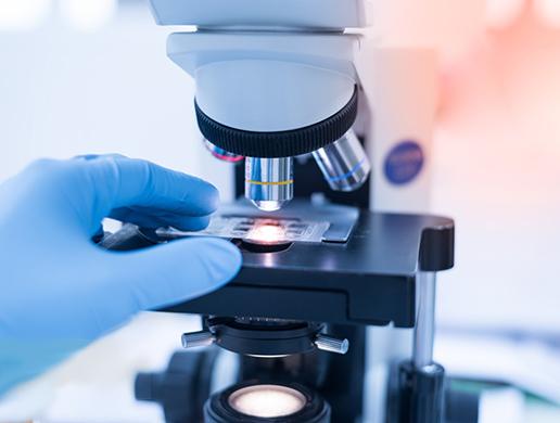 R&D laboratory - custom formulation support