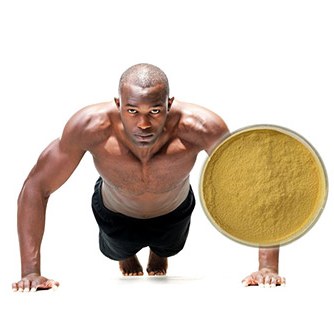 Sports nutrition and active-lifestyle formulations with standardized botanical powders