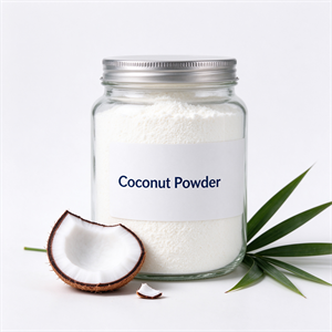Natural Coconut Powder Supplier for Food and Beverage Brands - Baisfu  